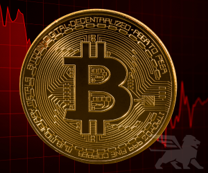 November 2025 menjadi tamparan keras yang menyadarkan para investor bullish bitcoin.